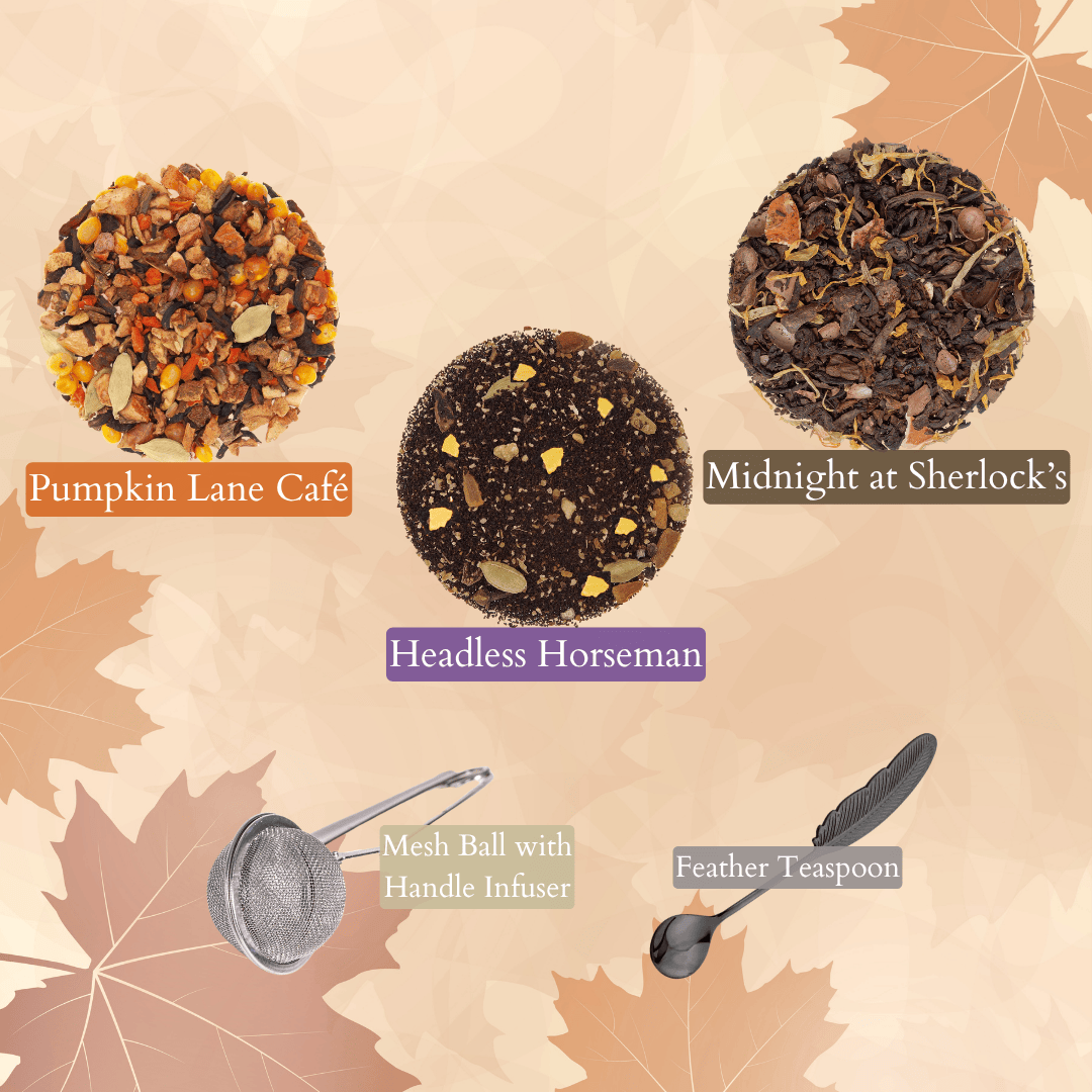Cozy Fall Bundle